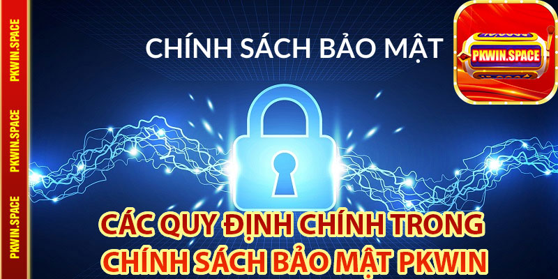Các Quy Định Chính Trong Chính Sách Bảo Mật pkwin
