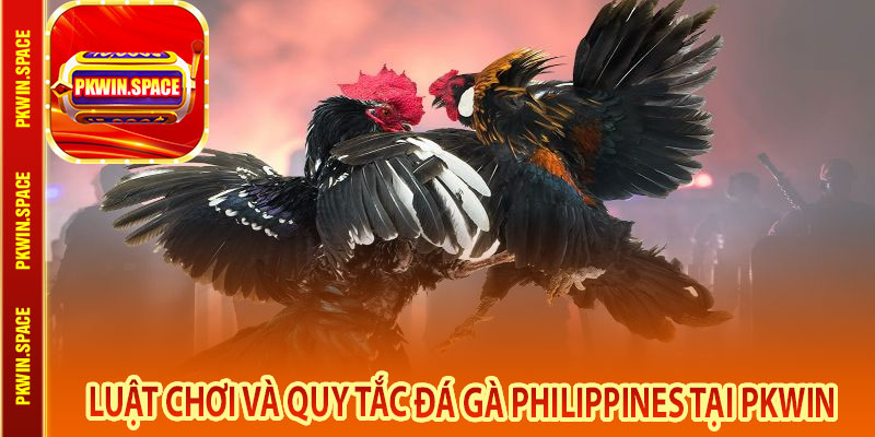 Luật Chơi và Quy Tắc Đá Gà Philippines tại pkwin