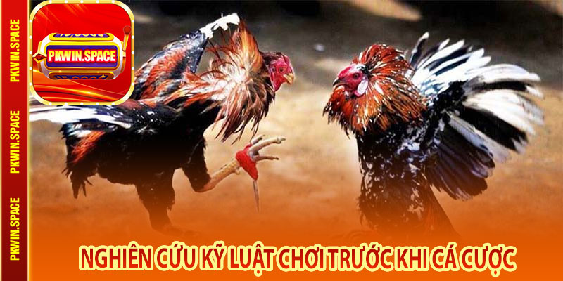 Nghiên Cứu Kỹ Luật Chơi Trước Khi Cá Cược