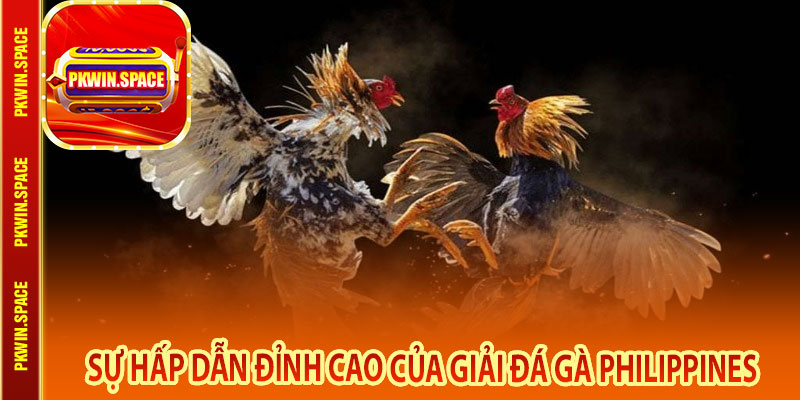 Sự Hấp Dẫn Đỉnh Cao Của Giải Đá Gà Philippines