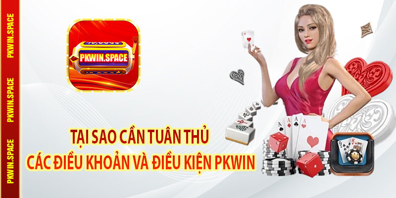 Tại Sao Cần Tuân Thủ Các Điều Khoản Và Điều Kiện Pkwin