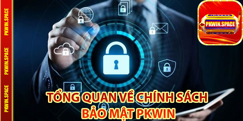 Tổng Quan Về Chính Sách Bảo Mật pkwin