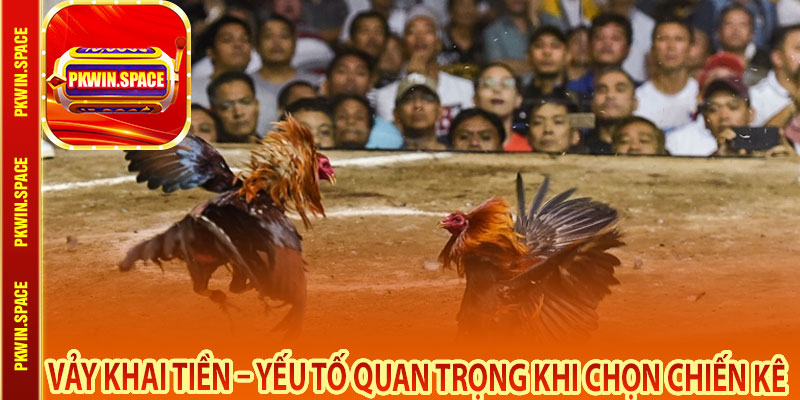Vảy Khai Tiền – Yếu Tố Quan Trọng Khi Chọn Chiến Kê