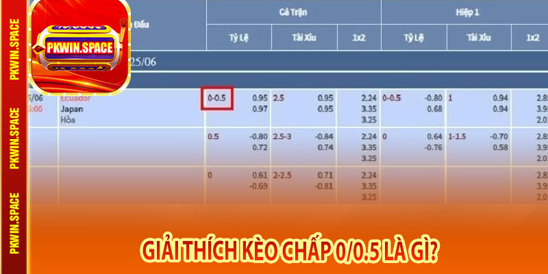 Giải thích kèo chấp 0/0.5 là gì?