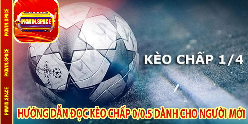 Hướng Dẫn Đọc Kèo Chấp 0/0.5 Dành Cho Người Mới