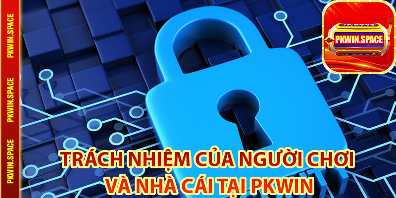 Trách Nhiệm Của Người Chơi Và Nhà Cái Tại pkwin