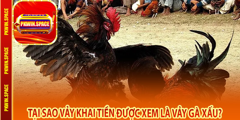 Tại Sao Vảy Khai Tiền Được Xem Là Vảy Gà Xấu?